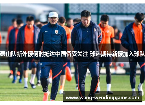 泰山队新外援何时抵达中国备受关注 球迷期待新援加入球队