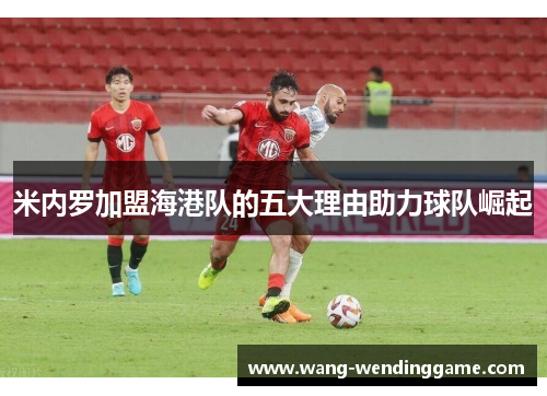 米内罗加盟海港队的五大理由助力球队崛起