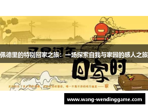 佩德里的特别回家之旅：一场探索自我与家园的感人之旅