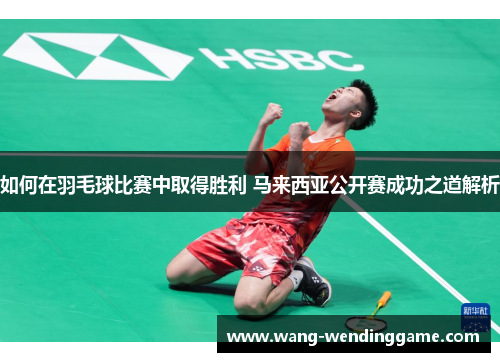 如何在羽毛球比赛中取得胜利 马来西亚公开赛成功之道解析
