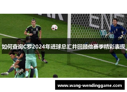 如何查询C罗2024年进球总汇并回顾他赛季精彩表现