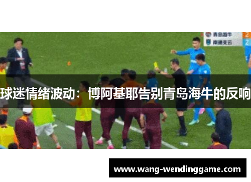 球迷情绪波动：博阿基耶告别青岛海牛的反响