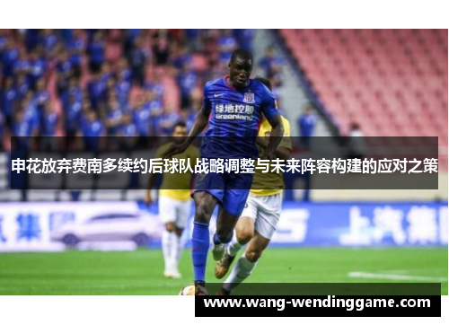 申花放弃费南多续约后球队战略调整与未来阵容构建的应对之策