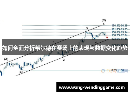 如何全面分析希尔德在赛场上的表现与数据变化趋势