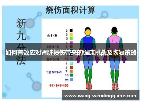 如何有效应对肾脏损伤带来的健康挑战及恢复策略