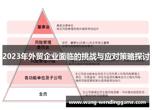 2023年外贸企业面临的挑战与应对策略探讨
