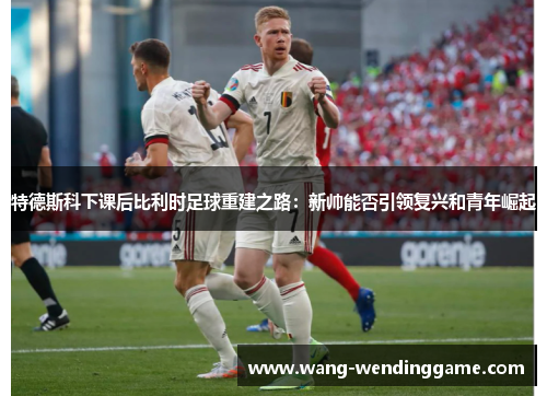 特德斯科下课后比利时足球重建之路：新帅能否引领复兴和青年崛起