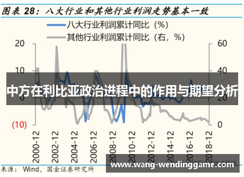 中方在利比亚政治进程中的作用与期望分析