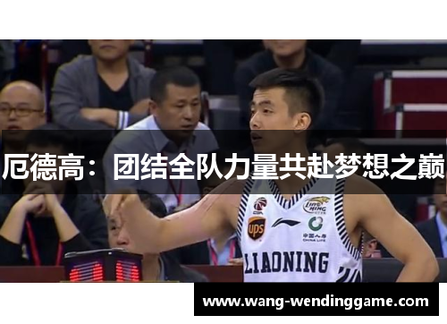 厄德高：团结全队力量共赴梦想之巅