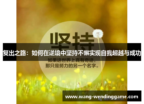 复出之路：如何在逆境中坚持不懈实现自我超越与成功