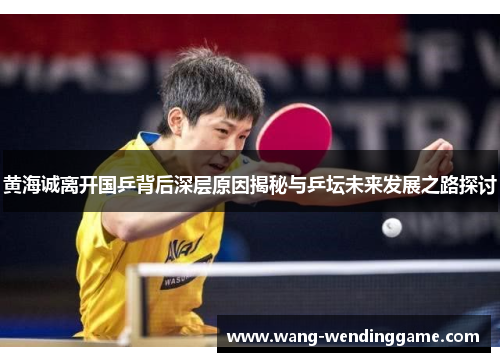 黄海诚离开国乒背后深层原因揭秘与乒坛未来发展之路探讨