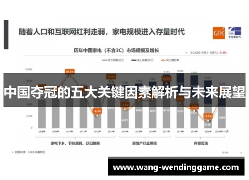 中国夺冠的五大关键因素解析与未来展望