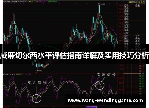 威廉切尔西水平评估指南详解及实用技巧分析