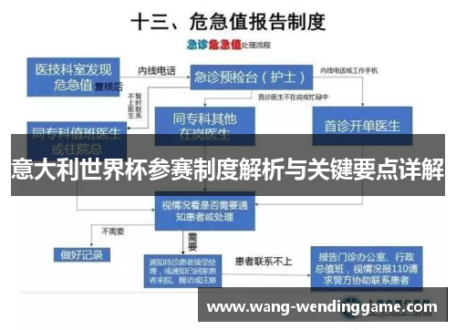 意大利世界杯参赛制度解析与关键要点详解